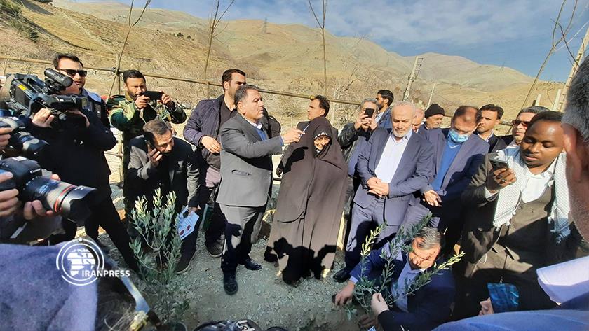 Iranpress: Tree planting ceremony held to commemorate Gazan martyrs