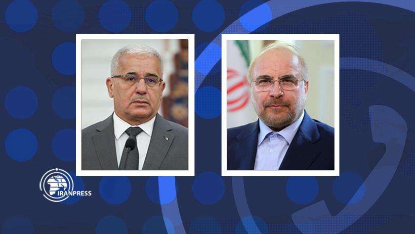 Iranpress: Iran, Algeria urge examining practical solutions to support Palestinians
