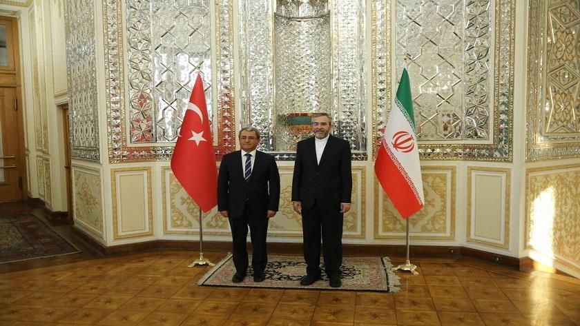 Iranpress: Iran, Turkey FM deputies confer on security issue in Palestine